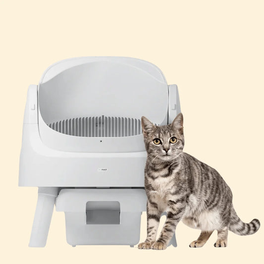 PetPivot | Litière à Nettoyage Automatique